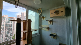 캣워커 고양이 벽타워 선반 숨숨집 구름다리 원목 놀이터 인테리어 용인 아파트 베란다 패키지 : 플레이캣