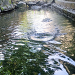 [CISMAS] 물수제비 물에서 튕기는 튀는 잘하는 쉽게 방법 손 장난감 수영장 풀빌라 물놀이 여행 물공 : CISMAS