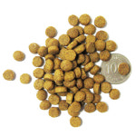 퍼피 델리캡 스페셜 4.5kg 전연령 강아지사료 : 작은동물원