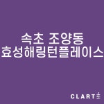 속초 조양동 효성해링턴플레이스 (프리필터는 추가옵션에서 선택해주세요) : 클라떼