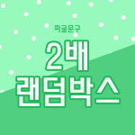 2배 랜덤박스 / 인스 스티커 도무송 떡메모지 다꾸 랜박 : 피굴 문구