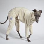 막스플레이 벨벳 올인원 샤이니에어 롬퍼 도브베이지 아이쥐옷 이탈리안그레이하운드옷 : MARX PLAY