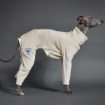 막스플레이 벨벳 올인원 샤이니에어 롬퍼 도브베이지 아이쥐옷 이탈리안그레이하운드옷 : MARX PLAY