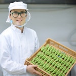 영광 은혜떡집 쑥떡 인절미 쑥 찰떡 햇쑥인절미 맛집 2.4kg, 1개 : 영광은혜떡집