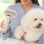 댕댕살롱 페페 드라이어 강아지 고양이 펫 애견 드라이기 건조기 털 말리기 : 인포벨홈쇼핑