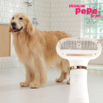 [초특가 할인] 댕댕살롱 드라이어 애견드라이기  브러쉬 강아지드라이기 동물드라이기 드라이룸 펫드라이기 고양이 : 미리내티씨