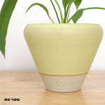 안스리움 비타리폴리움＋제네스포터리 토분 : 올드 가우디