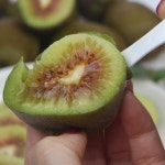 품질우수 제주산 레드키위 10과 20과 30과 대과 중대과 참다래 농장 홍다래 고당도 : 만물양품