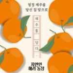빌레왓 새콤달콤 해리농장 가정용 선물용 제주감귤 : 자연인 해리농장