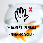 두드리지 마세요 1 스티커 데코스티커 유리 동물병원 애견 펫샵 주의 금지 안내 매장 사무실 : 그림놀이터