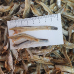 건통령 깐멸치 간편한 손질멸치 1kg : 건통령