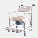 디에스메디텍 DS-116 알루미늄 고급형 좌변기겸 목욕의자 : 뷰티풀에스제이