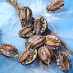 [해미원] 실속형 활전복 21~22마리 (약 45g/마리) 1kg : SPW