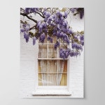 미드센츄리 모던 풍경 대형 포스터 사진 북유럽 인테리어 액자 그림 블루밍 라일락 A2 : 라프레임