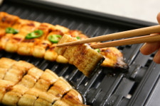 덕진수산 국산 손질 민물장어 1kg 자포니카 풍천장어 생강+소스2종 : 덕진수산명품민물장어