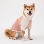 퍼피갤러리 크로플 베이직 탑 강아지티셔츠 4컬러 M-XL 애견나그랑티 : 펫밀리마트