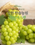 김천한솔농원 직송 고당도 샤인머스켓 망고포도 2kg 수출용 고품질 포도 : 김천한솔농장
