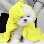 강아지 고양이 목욕수건 퀵드라이 극세사 대형견 펫타올 : 보니또크루