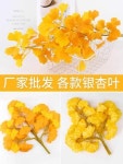 북유럽빛장식 은행잎 가지장식 시뮬레이션 노란잎 플라스틱 조화식물 녹식 실내공사 조경 : 에이치에프글로벌