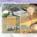 어린열무 2kg 4kg 여린열무 맛있는열무 신선한 열무김치 열무피클  파주 당일수확 : 지민농장-파주농부