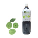 [국내산 매실] 와이케이푸드랩 통 매실원액 매실엑기스 1.5L : 바로 사자