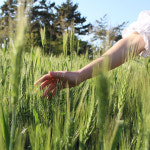 질마재농장 순수한 유기농 보리차 450g 국내산 100% 아기물 유아간식 볶은보리차 : 우아한끼