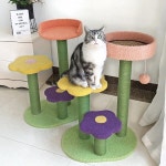 플라워 고양이 캣타워 반려묘 미니 스크래쳐 놀이 : 플라이 마켓