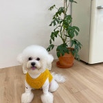 몽키누빔조끼 XL 사이즈 교환환불불가 : 리리몽드