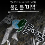 울진 돌미역(울진바지게시장) 200g : 바다 건어물