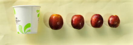 아람농장 사과대추 | 이광용사과농장 사과대추1kg 2kg [경북 상주] : 이광용사과농장