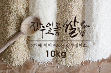2025년산 햅쌀 일품쌀 영주쌀 10kg : 장수정미소