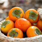 햇단감 햇 부유 단감 : 열정농부