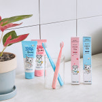 [10개입] 제니덴트 어린이칫솔(핑크 or 블루) : 제니튼스토어