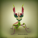 [신규입고] 세계 곤충 대집합 마왕 vs 용자 제일복권(이치방쿠지) A상 악마꽃사마귀 : 아크리움