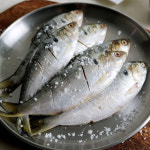 제철 국내산 자연산 전어 1kg : 율스키친