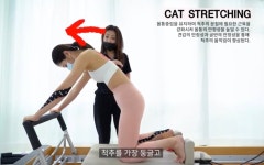 [리드필리테스]부산필라테스 1:1 ㄱ인레슨 10회 2개월 전지점 사용가능 : 리드필미