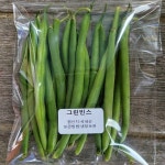 그린빈스 100G 소량 껍질콩 생그린빈 : 테라팜