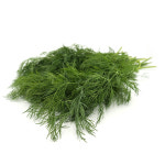 딜 Dill 100g 국내산 허브 향신료 : 채소파는가게