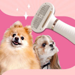 댕댕살롱 페페 드라이어 반려견 반려묘 드라이기 애견 드라이빗 : 씨케이미디어