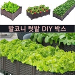 아파트 옥상 베란다 텃밭 상자 집에서 파 상추 키우기 : 옥사랑