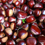 충주 햇밤 소태밤 농장 옥광 이평 석추 알밤 1kg : The화사