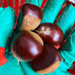 충주 햇밤 소태밤 농장 옥광 이평 석추 알밤 1kg : The화사