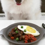 [위닝푸드] 강아지 짜장 / 반려견 보양식 간식 화식 자연식 : 위닝푸드