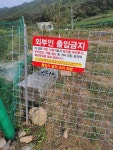 경고문 개인사유지 무단출입 분묘 벌목 투기 산림훼손 사용행위 금지 출입금지 표지판 경고14 3T 47x26cm : 베사메무쵸