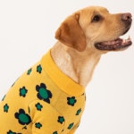 플로라 니트 소형견 중형견 대형견 봄옷 가을 : 아르무아 미뇽