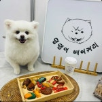 아웃댕파티팩 : 댕댕이베이커리