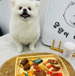 아웃댕파티팩 : 댕댕이베이커리