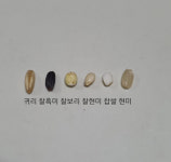 [여비농장] 전남 진도 유기농 혼합잡곡 6종 1kg x 2개 : 청여농마켓