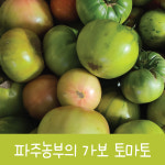 가보토마토 에어룸토마토 맛있는토마토 희귀, 방울 큰토마토 건강토마토 다이어트토마토 : 지민농장-파주농부