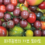 가보토마토 에어룸토마토 맛있는토마토 희귀, 방울 큰토마토 건강토마토 다이어트토마토 : 지민농장-파주농부